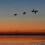 Nordseeblick * Langeneß