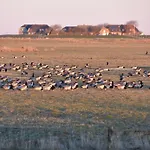 Nordseeblick Apartment *