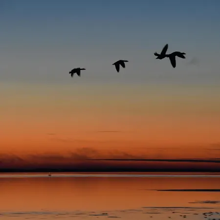 公寓 Nordseeblick Langeneß