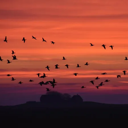 Nordseeblick 公寓 *