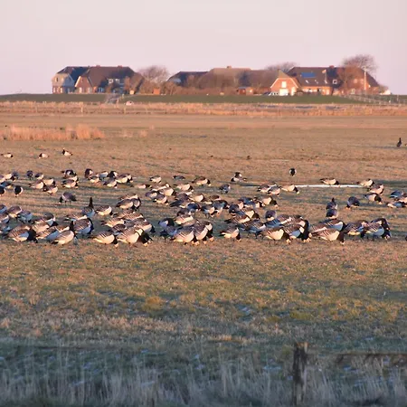 Nordseeblick 公寓 *