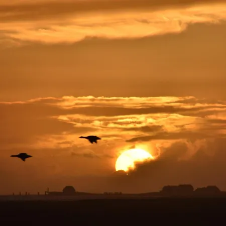 Nordseeblick 아파트