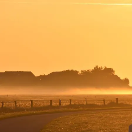 Nordseeblick Langeneß