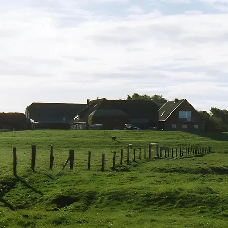 Nordseeblick Langeneß