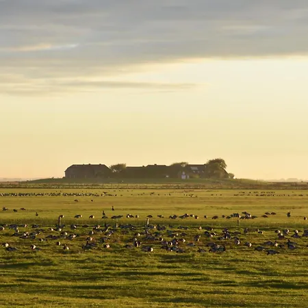Nordseeblick דירה Langeneß
