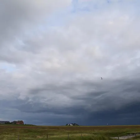 Nordseeblick *